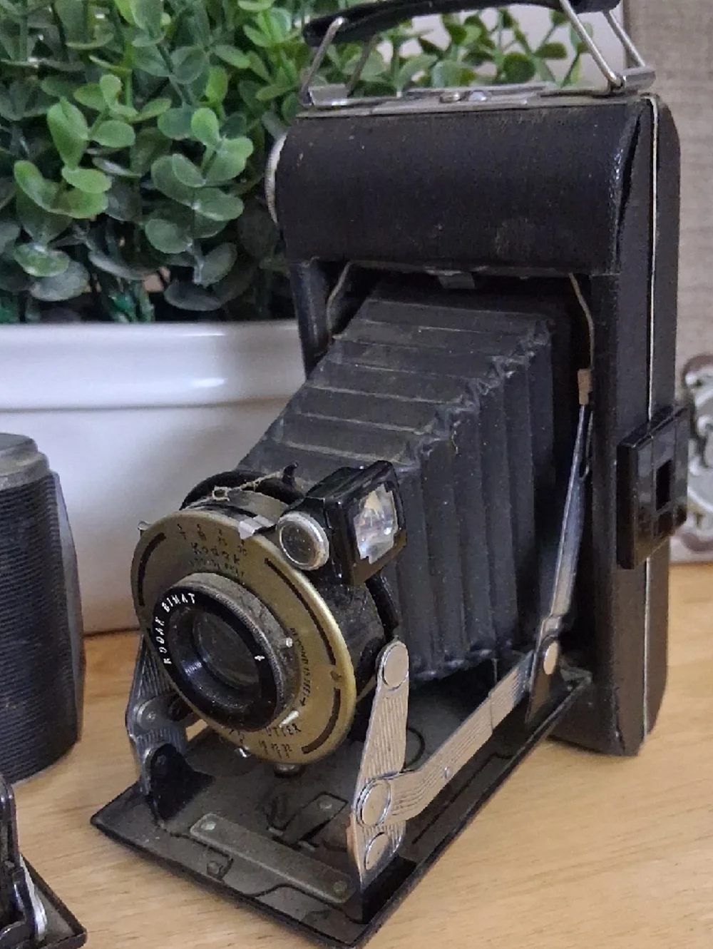 Vintage Cameras Decor